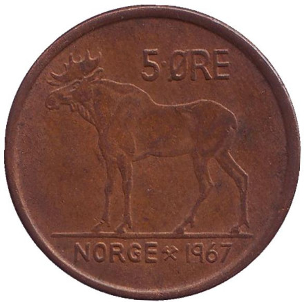 Монета 5 эре. 1967 год, Норвегия. Лось.