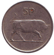 Монета 5 пенсов. 1974 год, Ирландия. Бык. Ирландская арфа. Монета 5 пенсов. 1974 год, Ирландия. Бык. Ирландская арфа.