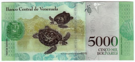 Банкнота 5000 боливаров. 2017 год, Венесуэла. Дата 23-03-2017.