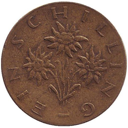 Монета 1 шиллинг. 1967 год, Австрия. Эдельвейс.