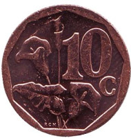 Монета 10 центов. 2012 год, Южная Африка. Лилия. Монета 10 центов. 2012 год, Южная Африка. Лилия.