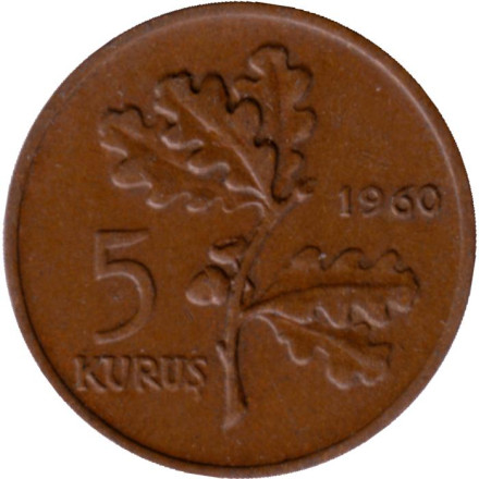 Монета 5 курушей. 1960 год, Турция. Дубовая ветвь.