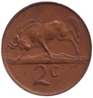 Монета 2 цента. 1981 год, Южная Африка. Белохвостый гну.