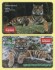 Комплект из 2-х транспортных карт "Золотая корона". 2025 год, Владивосток. Амурский Тигр и Тигрица с тигренком.