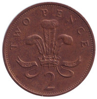 Монета 2 пенса. 1989 год, Великобритания. Монета 2 пенса. 1989 год, Великобритания.