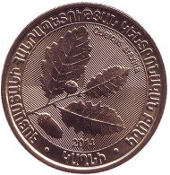 Монета 200 драмов. 2014 год, Армения. Дуб араксинский. Дикие деревья. Монета 200 драмов. 2014 год, Армения. Дуб араксинский. Дикие деревья.
