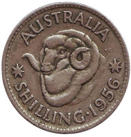 Монета 1 шиллинг. 1956 год, Австралия. Баран. Монета 1 шиллинг. 1956 год, Австралия. Баран.