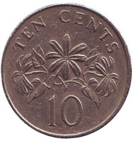 Монета 10 центов. 1986 год, Сингапур. Жасмин. Монета 10 центов. 1986 год, Сингапур. Жасмин.