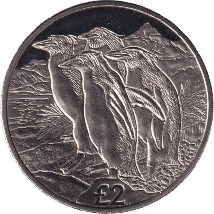 Монета 2 фунта. 2019 год, Южная Георгия и Южные Сандвичевы острова. Золотоволосые пингвины.