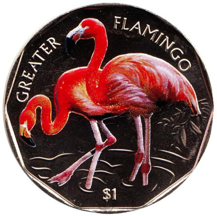 Монета 1 доллар. 2019 год, Британские Виргинские острова. Обыкновенный фламинго.