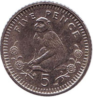 Монета 5 пенсов. 2002 год, Гибралтар. Варварийская обезьяна.