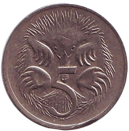 Монета 5 центов. 1978 год, Австралия. Ехидна.