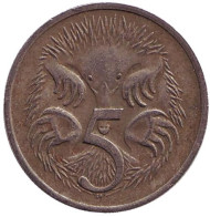 Монета 5 центов. 1982 год, Австралия. Ехидна. Монета 5 центов. 1982 год, Австралия. Ехидна.