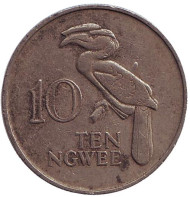 Монета 10 нгве. 1968 год, Замбия. Птица-носорог.