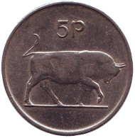 Монета 5 пенсов. 1986 год, Ирландия. Бык. Ирландская арфа. Монета 5 пенсов. 1986 год, Ирландия. Бык. Ирландская арфа.