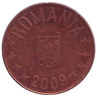 Монета 5 бани. 2009 год, Румыния. Монета 5 бани. 2009 год, Румыния.