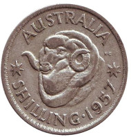 Монета 1 шиллинг. 1957 год, Австралия. Баран. Монета 1 шиллинг. 1957 год, Австралия. Баран.