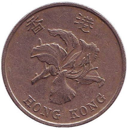 dollar-1z6.jpg dollar-1z6.jpg