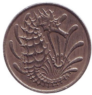 Монета 10 центов. 1969 год, Сингапур. Морской конек. Монета 10 центов. 1969 год, Сингапур. Морской конек.