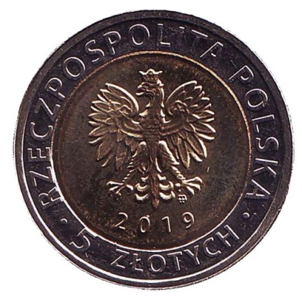 Монета 5 злотых. 2019 год, Польша. Памятники Фромборка. Монета 5 злотых. 2019 год, Польша. Памятники Фромборка.