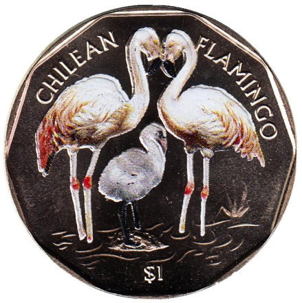 Монета 1 доллар. 2019 год, Британские Виргинские острова. Чилийский фламинго.