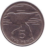 Монета 5 пенсов. 1991 год, Остров Святой Елены и Вознесения. Зуёк. Монета 5 пенсов. 1991 год, Остров Святой Елены и Вознесения. Зуёк.