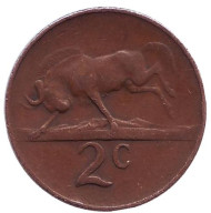 Монета 2 цента. 1966 год, Южная Африка. (Suid Afrika) Белохвостый гну. Монета 2 цента. 1966 год, Южная Африка. (Suid Afrika) Белохвостый гну.