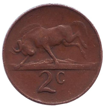 Монета 2 цента. 1966 год, Южная Африка. (Suid Afrika) Белохвостый гну.