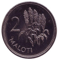 Монета 2 малоти. 1998 год, Лесото. Соцветия кукурузы.