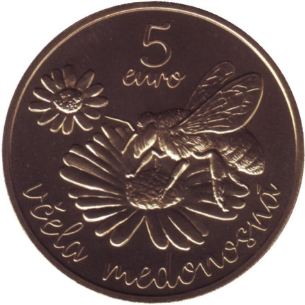 Монета 5 евро. 2021 год, Словакия. Медоносная пчела.