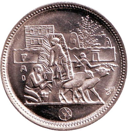 Монета 5 пиастров. 1977 год, Египет. ФАО. Продовольственная программа.