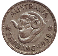 Монета 1 шиллинг. 1958 год, Австралия. Баран. Монета 1 шиллинг. 1958 год, Австралия. Баран.