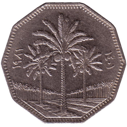 Монета 1 динар. 1981 год, Ирак.