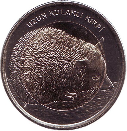 turkey-18x.jpg turkey-18x.jpg