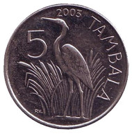 Монета 5 тамбал. 2003 год, Малави. Из обращения. Цапля.