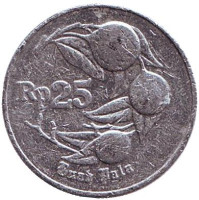 Мускатный орех. Монета 25 рупий. 1995 год, Индонезия.