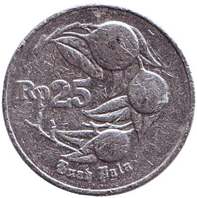 Монета 25 рупий. 1995 год, Индонезия. Мускатный орех.
