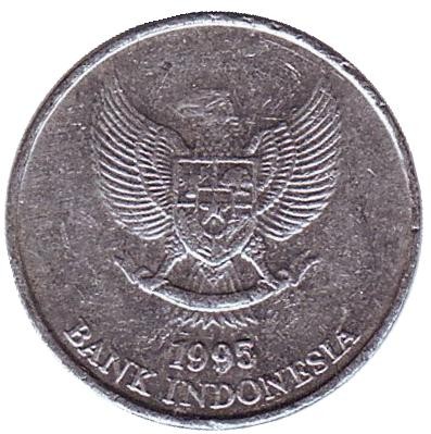 Монета 25 рупий. 1995 год, Индонезия. Мускатный орех. Монета 25 рупий. 1995 год, Индонезия. Мускатный орех.