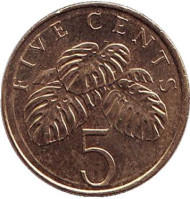 Монета 5 центов. 1997 год, Сингапур. Монстера деликатесная. Монета 5 центов. 1997 год, Сингапур. Монстера деликатесная.