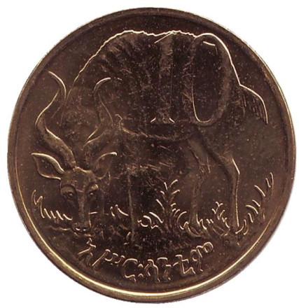 10-2in.jpg 10-2in.jpg