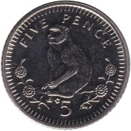 Монета 5 пенсов. 2003 год, Гибралтар. Варварийская обезьяна. (AC). Магнитная.