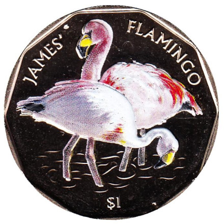 Монета 1 доллар. 2019 год, Британские Виргинские острова. Фламинго Джемса.