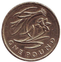 Флора Уэльса. Лук-порей и нарцисс. Монета 1 фунт. 2013 год, Великобритания.