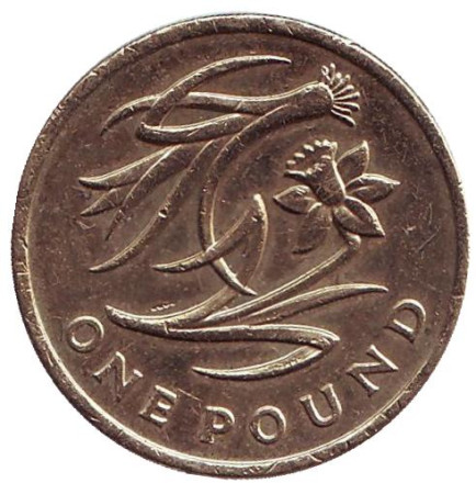 Монета 1 фунт. 2013 год, Великобритания. Флора Уэльса. Лук-порей и нарцисс.
