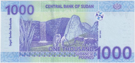 Банкнота 1000 фунтов. 2022 год, Судан.
