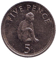 Монета 5 пенсов. 2005 год, Гибралтар. Варварийская обезьяна.