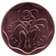 Монета 10 центов. 2011 год, Свазиленд. Сахарный тростник. Монета 10 центов. 2011 год, Свазиленд. Сахарный тростник.