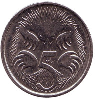Монета 5 центов. 2008 год, Австралия. Ехидна. Монета 5 центов. 2008 год, Австралия. Ехидна.