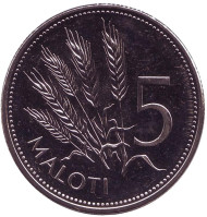 Монета 5 малоти. 2010 год, Лесото. Колосья пшеницы. Монета 5 малоти. 2010 год, Лесото. Колосья пшеницы.