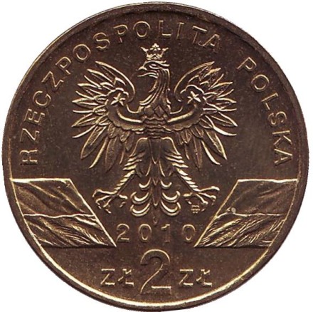 Монета 2 злотых, 2010 год, Польша. Летучая мышь. Малый подковонос.